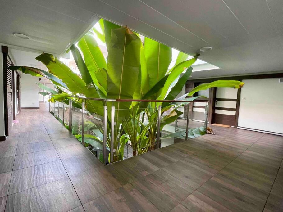 Superbe appartement, piscine, vue mer et montagnes Antibes Eksteriør billede