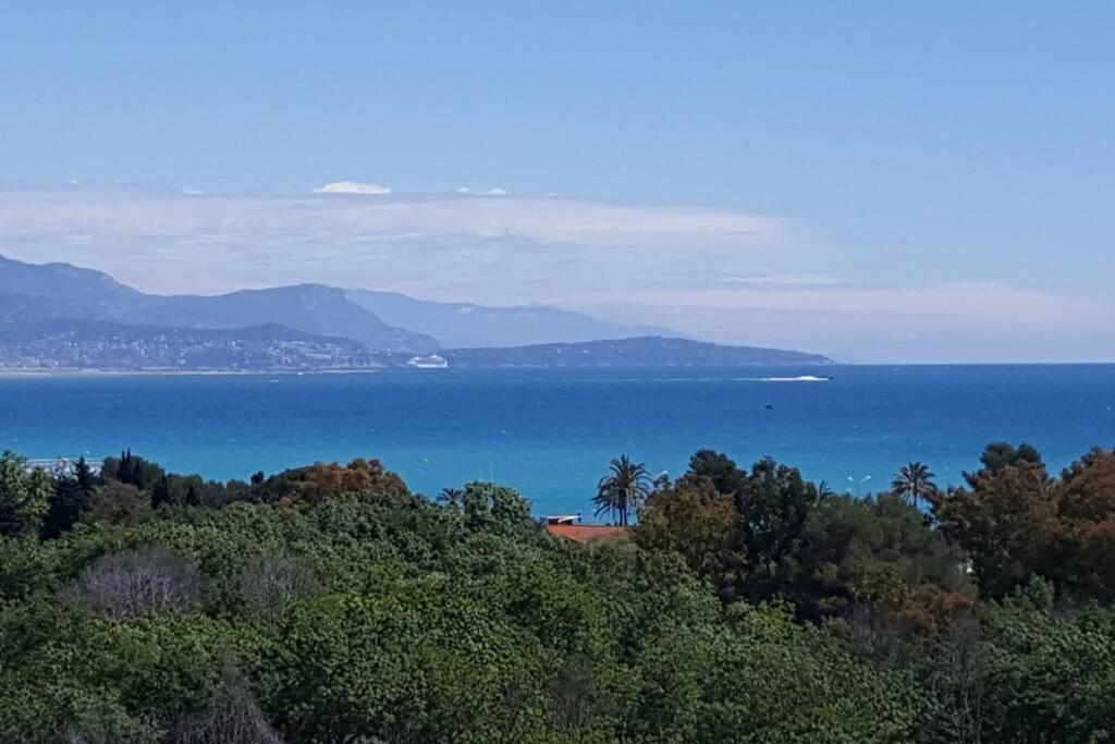 Superbe appartement, piscine, vue mer et montagnes Antibes Eksteriør billede