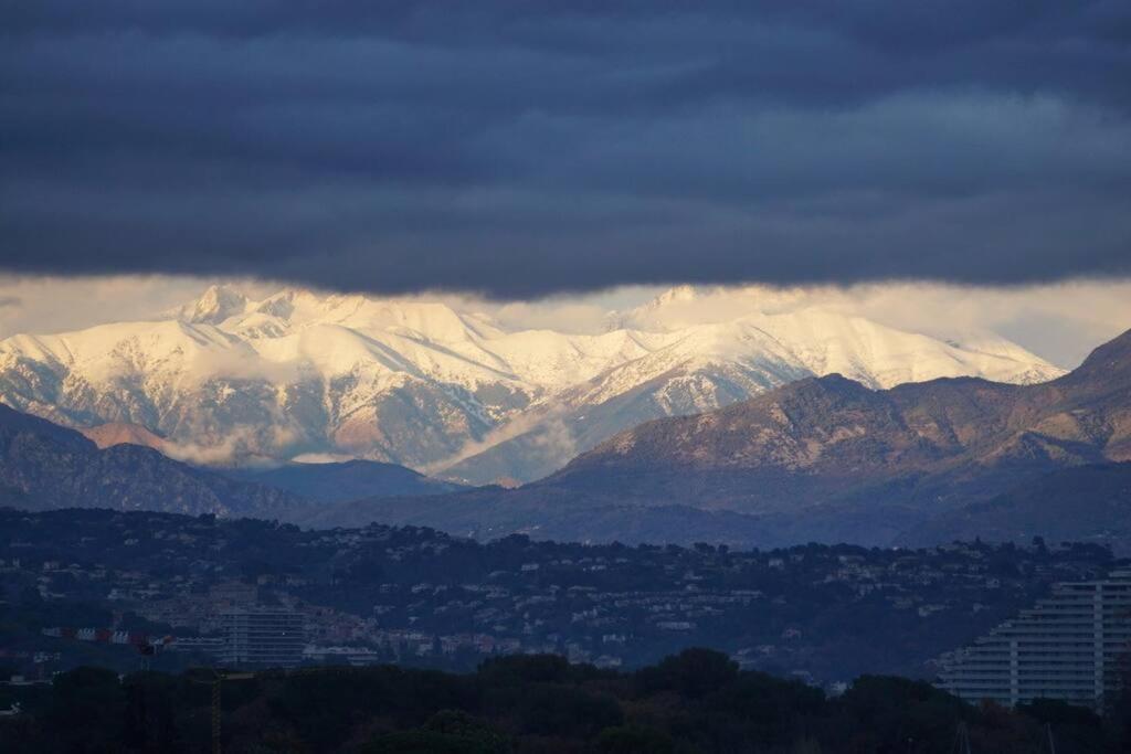 Superbe appartement, piscine, vue mer et montagnes Antibes Eksteriør billede