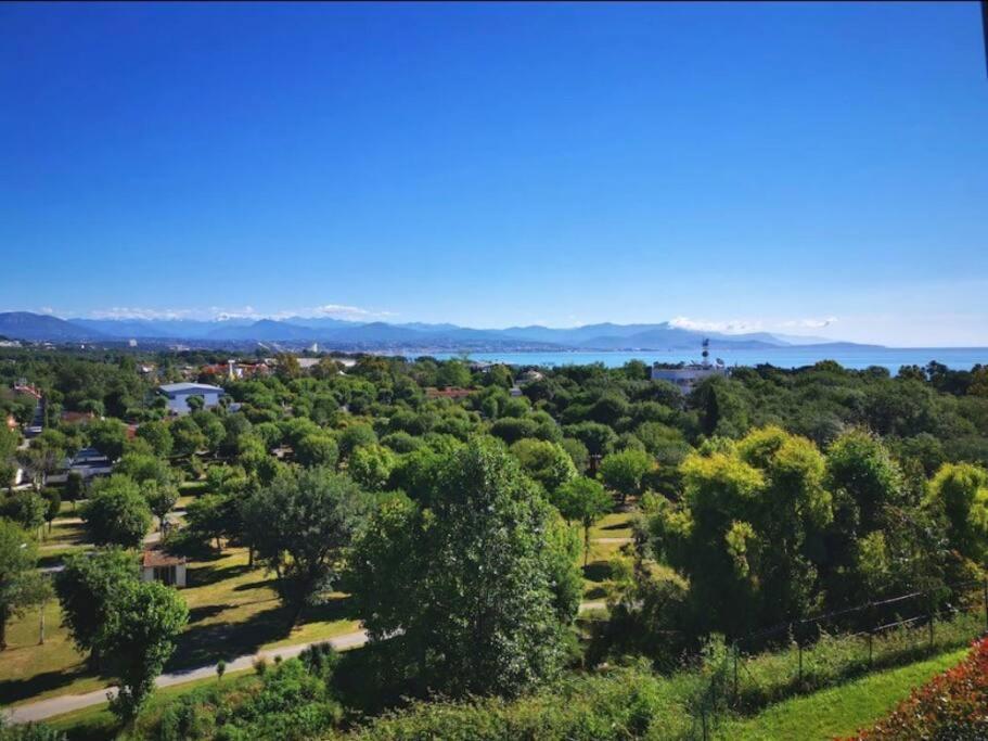 Superbe appartement, piscine, vue mer et montagnes Antibes Eksteriør billede