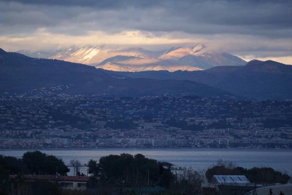 Superbe appartement, piscine, vue mer et montagnes Antibes Eksteriør billede
